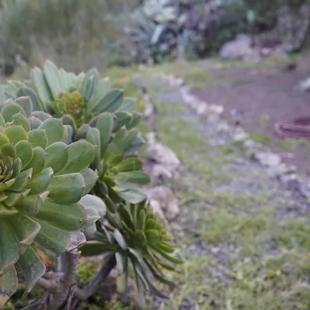 La Cueva De Tito-casa Cueva En Plena Naturaleza *